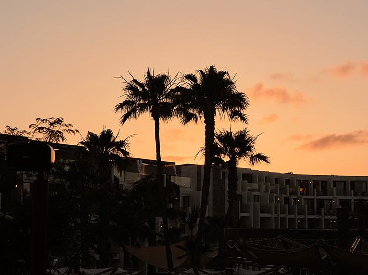 COYA by Night